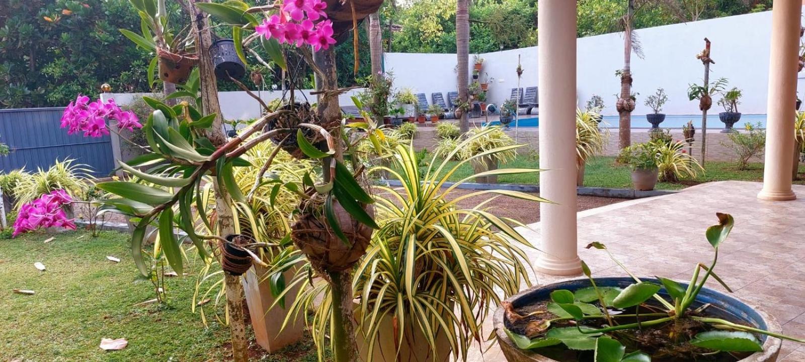 Turtle Paradise Villa 科斯戈德 外观 照片